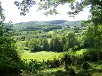 Petite Ferme d'Autrefois - B&B