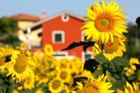 B&B Osimo - b&b DOREMI - Bed and Breakfast Osimo