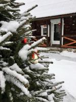 Stavne 158 - Bed and Breakfast Stavne