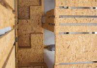 Bunk Bed in Mixed Dormitory Room