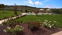 B&B Olmo - B&B Saludecio