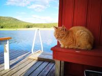 Skatauddens Lantgård - Chambres d’hôtes Älvsbyn