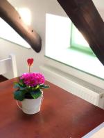 Dreibettzimmer mit eigenem Bad