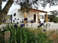 Sa Vinya Casa de Campo - B&B Es Cubells