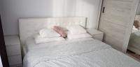 Apartament Rosenau - B&B Râşnov
