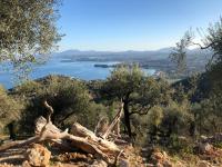 House Tanna of Villa Intaba Spectacular Sea Views Corfiot Riviera Spartilas Corfu Island Greece close to Ipsos Beach - B&B