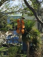 Union Street Hideaway - Bed and Breakfast Waihi