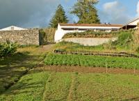 QVA - Quinta Velha das Amoreiras - B&B