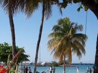 Cool's 1 bedroom Beach & Garden View - B&B Ocho Rios