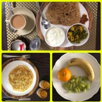 Mimosa Udaipur - B&B Udaipur