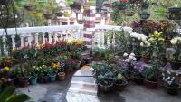Camera Familiare con Terrazza