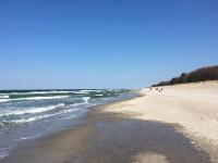 Seepferdchen - B&B Zingst