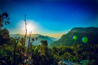 Wood Heart - Chambres d’hôtes Ella Town