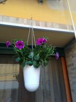 B&B Cagliari - I Nuraghi II - Bed and Breakfast Cagliari