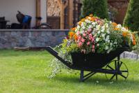 Pokoje Gościnne GABI - B&B Gnieżdżewo