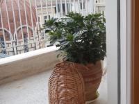 Athens-Plaka, Peter’s beautiful apartment in Temple of Zeus - B&B Athens