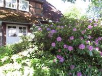 B&B Bispingen - Ferienwohnung Margret und Kord Hedder - Bed and Breakfast Bispingen