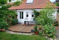 Rittersporn - B&B Cismar