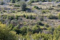 Nadija studio apartmani - B&B Krk