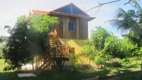 Paddy Lodge