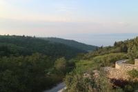 Suite - Vue sur Jardin