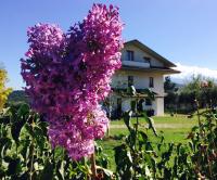 Agriturismo Le Terre d'Abruzzo Country House - B&B Alanno