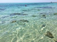 Trullo Rosy - B&B Martina Franca