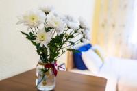 Modern 2BR Apartment in Central Lviv - B&B Leopoli