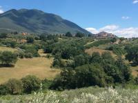 Chambre Quadruple Deluxe