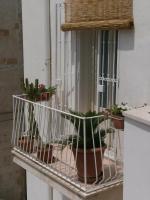 My House Suite - B&B Monopoli