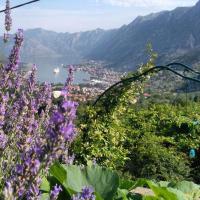 B&B Kotor - Big Hill Apartment - Bed and Breakfast Kotor