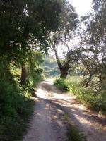 Apartamento nuevo en Sierra Sur Sevilla - B&B Villanueva de San Juan