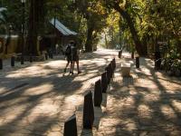 Lunas Apartment - Chambres d’hôtes Palenque