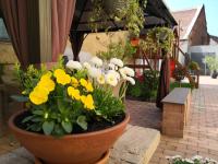 Korzó Apartman - B&B Kőszeg