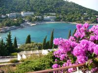 Apartments Silva, Appartamenti - Dubrovnik