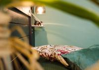 Habitación Doble con baño privado