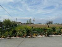 LA CARLOTTINA - Ferienwohnung Codevigo