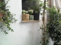 Appartamento Monolocale