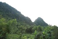 Tam's Homestay - Ferienwohnung Phong Nha