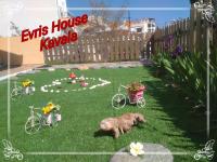 Two-Bedroom House with Garden