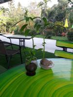 Kamer met Kingsize Bed en Uitzicht op de Tuin