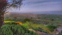 Sea Of Galilee Site