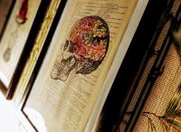 DB House, Town Center Apartment - B&B Bergamo