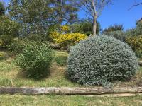 Les gîtes du Canal du midi - Gîte Bois & Cailloux - B&B Montgaillard-Lauragais