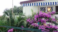 Apartman Čigir - Chambres d’hôtes