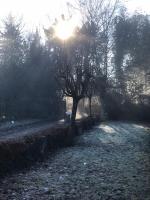 Apartment with Garden View