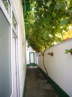 Camere De Inchiriat "Pinciuc Gheorghe" - B&B Costineşti