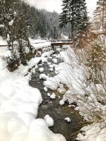 Apartament Dziki Rogacz - B&B