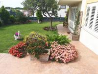 Bed and Breakfast Angolo Fiorito - B&B Civitavecchia