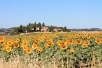 B&B Ginestra - Il Poggio B&B - Bed and Breakfast Ginestra